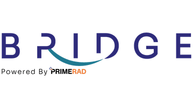 BridgeNetwork Logo